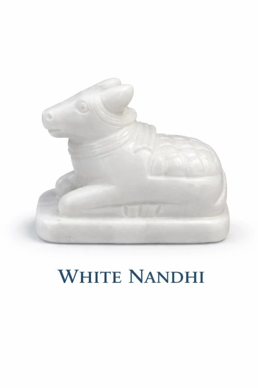 WHITE NANDHI S